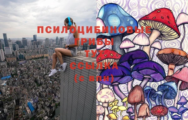 спайс Балабаново
