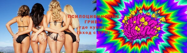 мяу мяу мука Балахна