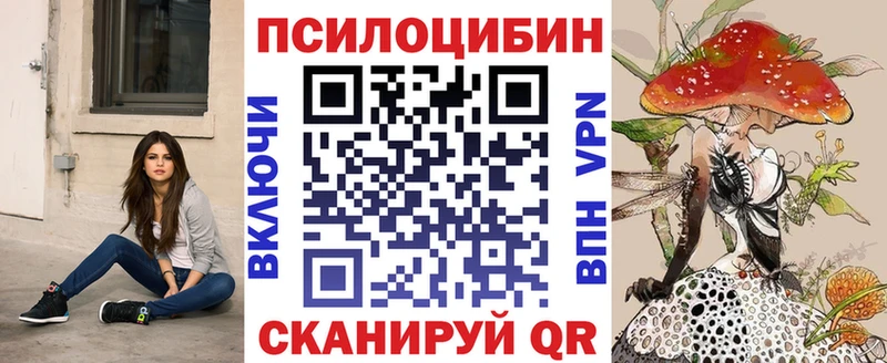 наркота  Зверево  omg вход  Псилоцибиновые грибы Cubensis 