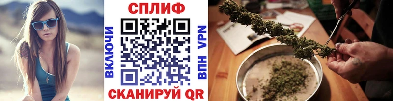 Бошки Шишки ГИДРОПОН  блэк спрут сайт  Зверево 
